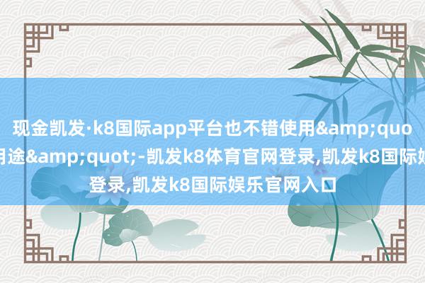 现金凯发·k8国际app平台也不错使用&quot;个东谈主用途&quot;-凯发k8体育官网登录,凯发k8国际娱乐官网入口